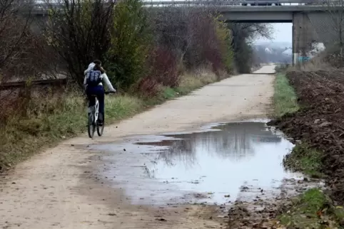 Wenn alles so bleibt wie bisher, fahren trotzdem Radler auf Feldwegen, aber die Stadt zahlt nicht für Ausbau und Unterhalt. 