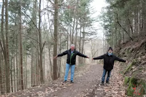 Diesen Weg durch den Wald soll der Verkehr für einige Monate hinauf und hinunter nehmen. Er ist teils nur drei Meter breit, wie 