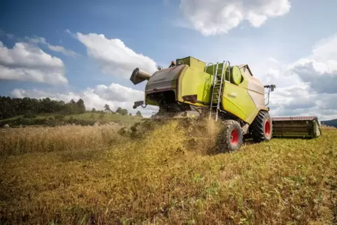 Will in die Diskussion über Gewerbeflächen in der Metropolregion Rhein-Neckar eingebunden werden: die Landwirtschaftskammer.