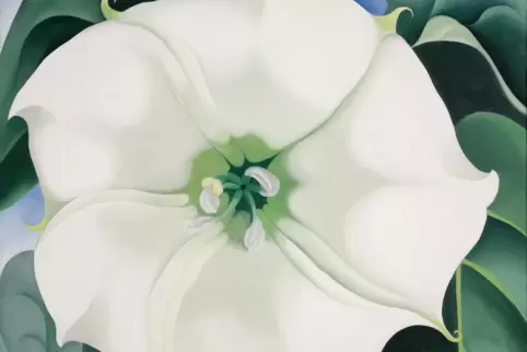 Schön und giftig: „Stechapfel/Weiße Blüte Nr. 1“, 1932 Schön und giftig: „Stechapfel/Weiße Blüte Nr. 1“, 1932