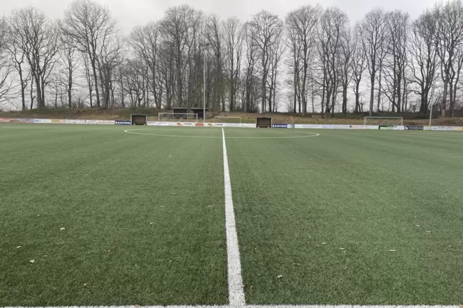 Blick auf die Bäume im Westen vom Sportheim aus. Blick auf die Bäume im Westen vom Sportheim aus.