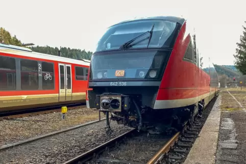 Der am 7. Februar beschädigte Regionalbahn-Triebwagen, der bei Thaleischweiler-Fröschen über einen Baumstamm gefahren war, steht