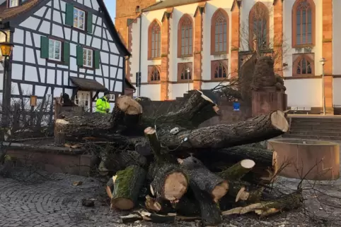 Die Friedenslinde wurde am Donnerstag gefällt. 