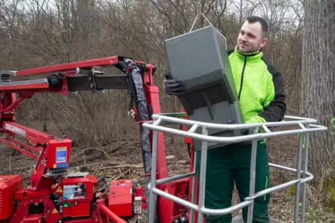 Deichpflege und Fledermauskästen anbringen: Das ist die Arbeit von Lars Mühlberger.