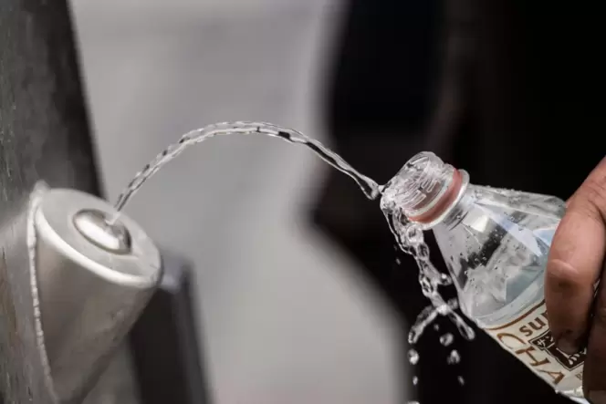 Zu teuer: Eine Zapfstelle für Trinkwasser wäre am Altrheinufer sicher eine feine Sache. Aber die Gemeinde kann sich das nicht le Zu teuer: Eine Zapfstelle für Trinkwasser wäre am Altrheinufer sicher eine feine Sache. Aber die Gemeinde kann sich das nicht le