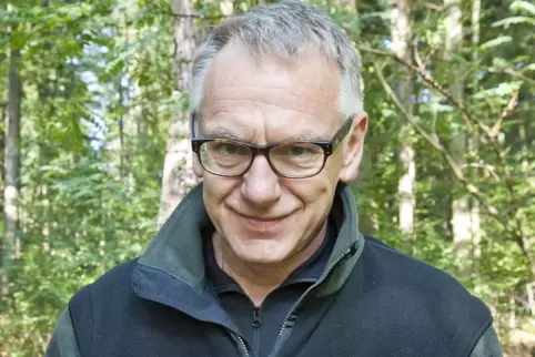 Lose Äste in Baumkronen können für Waldbesucher gefährlich werden, warnt Förster Klaus Platz.