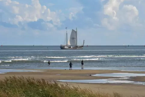 Vor der Pandemie sind die Neuntklässler des Leininger-Gymnasiums auf dem Eisselmeer segeln gegangen.