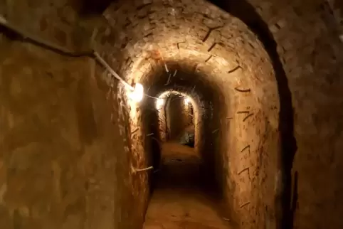 Gut zu erkennen: Der Minengang hat sich verformt. Die aus der Wand ragenden Röhrchen wurden für Injektionen zur Stabilisierung b