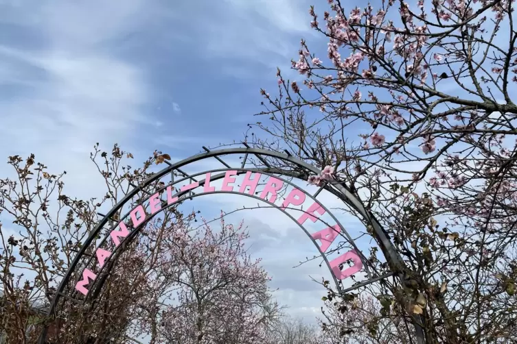 Mandelblütenfest wird erst 2023 wieder gefeiert. Über das beste Konzept denken alle jetzt schon nach. 