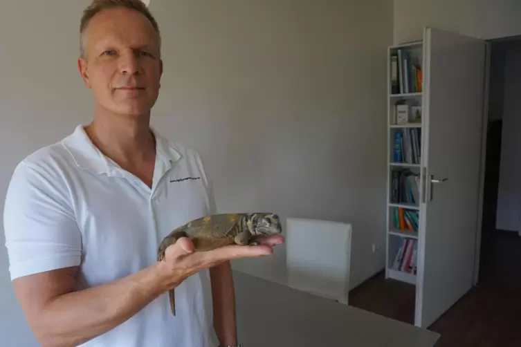Reptilien sind sein Spezialgebiet: Thomas Bauer mit der Nachzucht einer Chuckwalla-Eidechse.