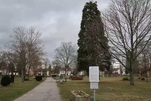 Ruhige Veranstaltungen, Lesungen oder Kunstausstellungen, das geht auf dem Alten Friedhof in Mutterstadt. Aber: „Eine Festival-W