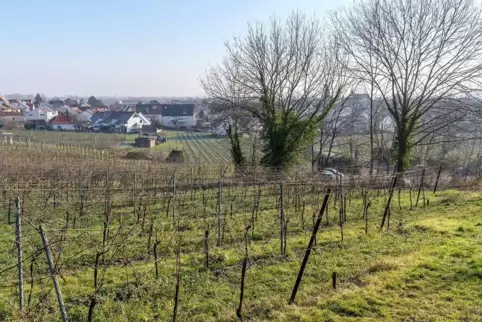 Blick auf Edenkoben.