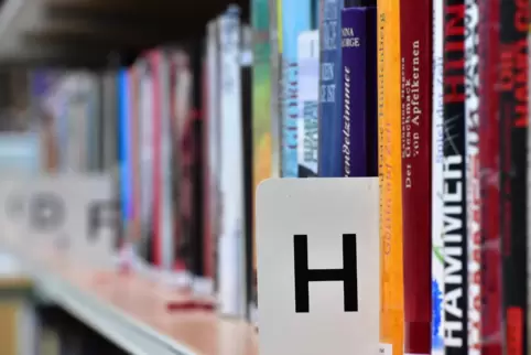 Damit Bücher wieder an ihrem angestammten Ort stehen, werden Helfer in den Schulbibliotheken benötigt. 
