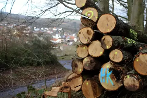 Die Nachfrage nach Brennholz ist dem Forstamt Kusel zufolge deutlich gestiegen. 