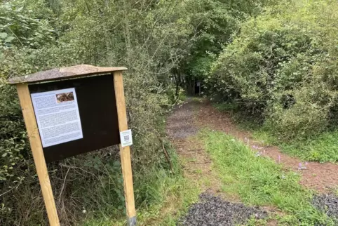 Bienenwissen ist auf dem Bienenlehrpfad in Steinbach gefragt.