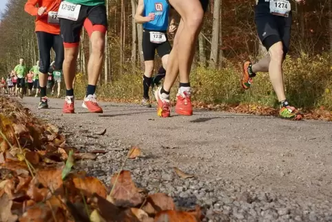 martinslauf1
