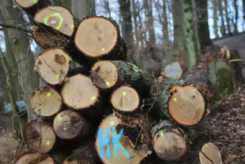 Ein Forstzweckverband könnte besser auf Marktschwankungen auf dem Holzmarkt reagieren.