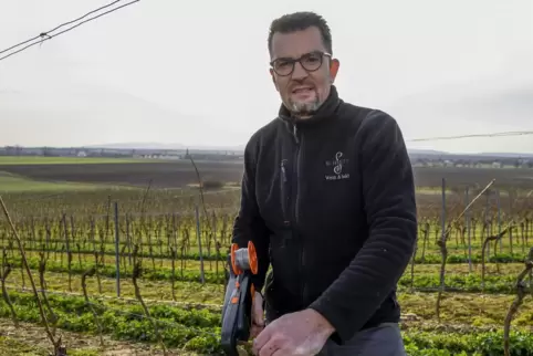 Martin Schmitt beim Befestigen der Reben. Für ihn entsteht die Qualität eines Weines im Weinberg.