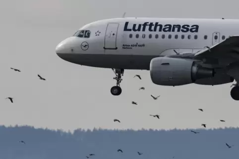 Ein Airbus A319 der Lufthansa landet in Frankfurt.