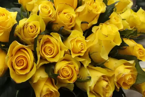Gelbe Rosen werden am Zonta-Stand verkauft. 