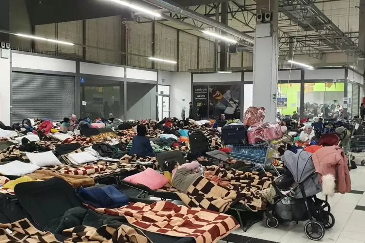 Das Auffanglager in der Hala Kijowska: Viele Betten, viele Menschen. Es fehlt nicht nur an Organisation, es kursieren auch einig