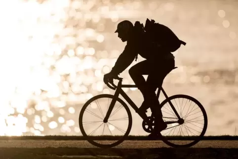 Radfahrer am Rhein