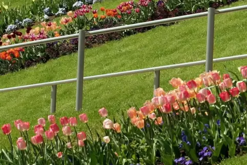 Weit mehr als Blumenpracht: Landesgartenschauen in Rheinland-Pfalz. 