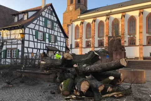 Die Linde wurde von der Feuerwehr gefällt. 