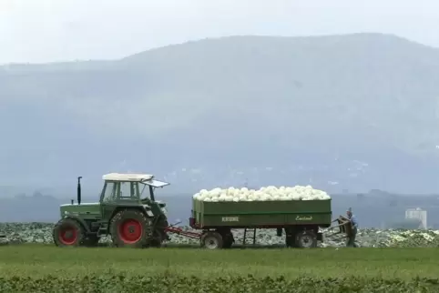 Die Landwirte sind auf die Feldwege angewiesen. 