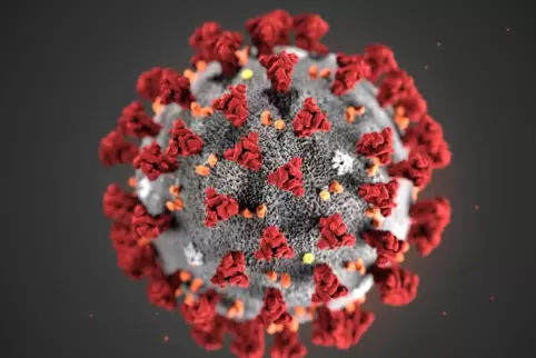 Zwischen zehn und 20 Prozent der Tests fallen nach Angaben der Betreiber derzeit positiv auf das Coronavirus aus.