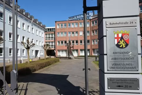 Zu einer Bewährungsstrafe wurde ein 25-Jähriger für Unfallflucht und mehr verurteilt. 