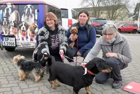 Retter in der Not: Anja Stengel, Maike Urschel und Brigitte Manges organisieren die Tierrettung der Geflüchteten. Die drei Hunde