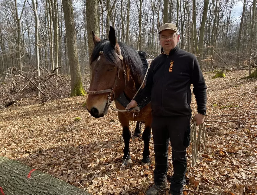 Damit das möglich ist, ist Stefan Golz aus dem Westerwald mit seinen Pferden Lex und Odin (Bild) angereist.