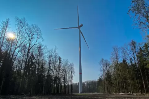 Windkraftanlagen in den Naturpark-Kernzonen des Pfälzerwaldes schließt die Landesregierung aus. Dieses Windrad steht bei Kröppen