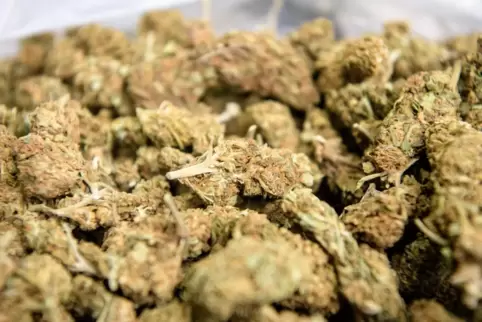 Am Winnweilerer Bahnhof hat die Polizei am Donnerstagabend über 40 Kilo Marihuana beschlagnahmt.
