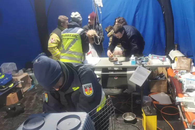 In einem der Zelte hat die Bundesarbeitsgemeinschaft Rettungshundef&uuml;hrender Vereine (BAG) eine Tier-Ambulanz eingerichtet.