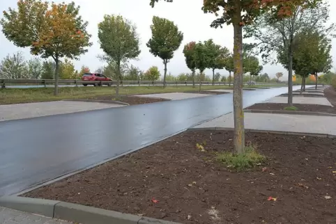 Der beschädigte Wagen war auf dem Mitfahrerparkplatz an der B48 bei Winnweiler abgestellt.