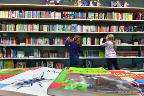 Die Dammschule bekommt eine neue Bibliothek. Unser Foto zeigt eine Bücherei in Erfurt. 