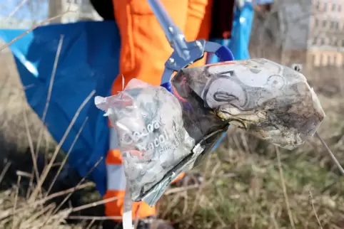 Freiwillige haben beim Umwelttag Streumüll aus der Natur entfernt.