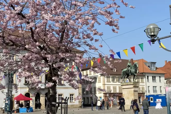 Der Wochenmarkt soll zurück auf den Rathausplatz.