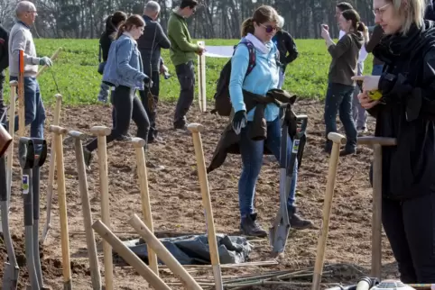 Die Pflanztrupps setzten Bäume und Sträucher.