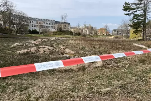 Derzeit grünt es – aber nicht mehr lange. 