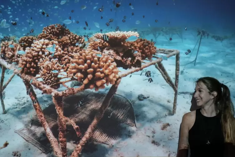 Tatjana Theuer bei der Pr&auml;sentation von &bdquo;Reef Radio&ldquo;.