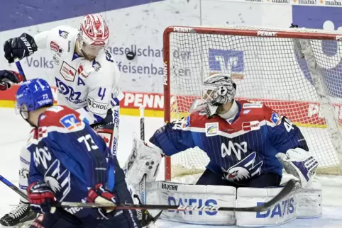 Adler-Torwart Dennis Endras hielt seinen Kasten sauber. 