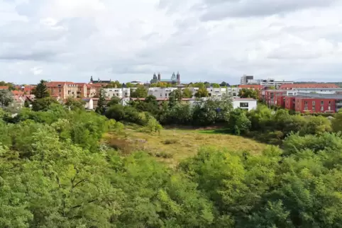 Derzeit brachliegend: früherer Sportplatz der Normand-Kaserne. Derzeit brachliegend: früherer Sportplatz der Normand-Kaserne.