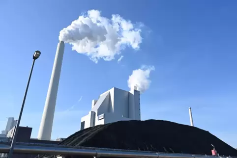 EnBW verfeuert bisher auch Steinkohle aus Russland. Neue Lieferverträge soll es nun nicht mehr geben. Das Foto zeigt das Rheinha