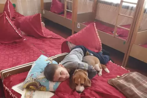 Der siebenjährige Makar findet Trost bei seinem Hund. Sein Zuhause, seine Schule, seine Freunde – das ist alles weit weg.