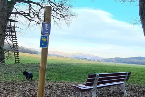 Schöne Aussicht inklusive: Blick vom Sandhasenweg aus westlicher Richtung auf Schwedelbach.