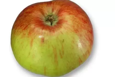 Der Eifeler Rambur ist eine ertragreiche alte Sorte. 