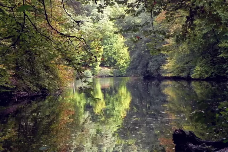 Isenachweiher.